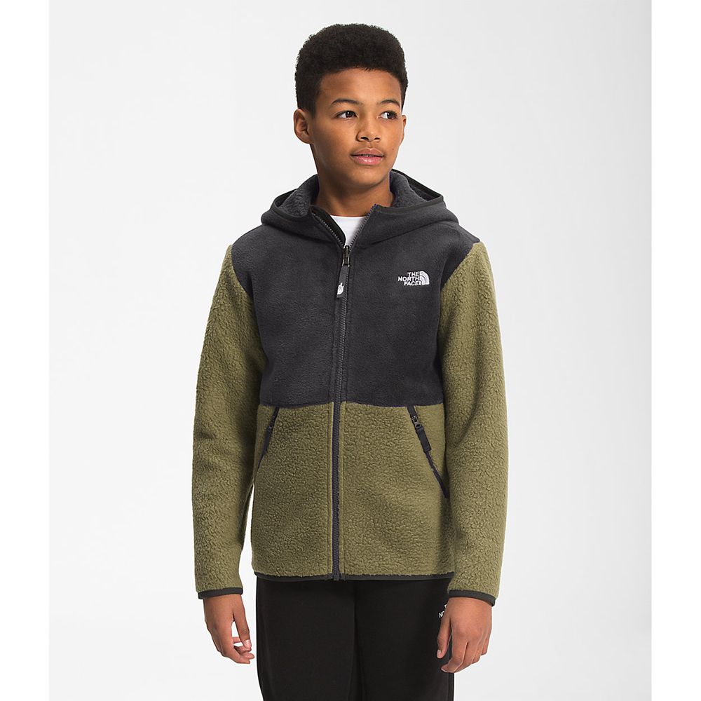 The North Face Fleeces Boys Australia - The North Face Forrest Full Zip Hooded Olive Green (TRP-4795